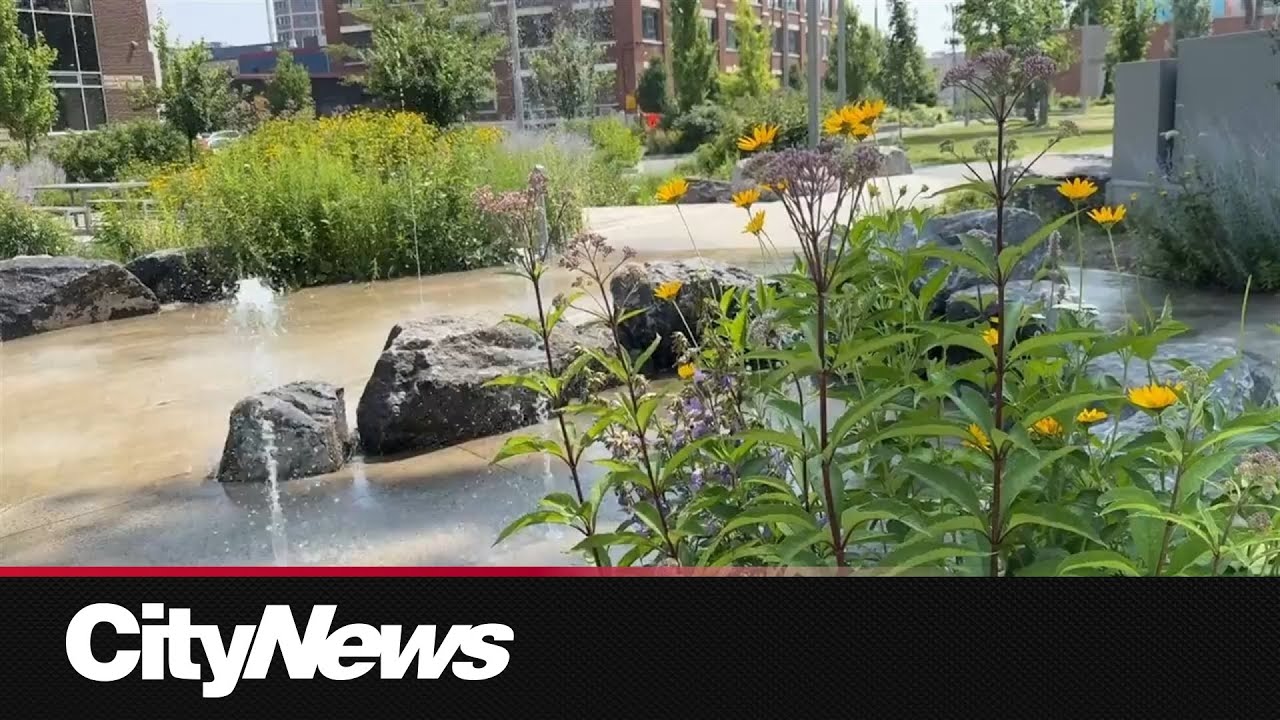Montreal sponge parks soak up heavy rains and help residents cool off