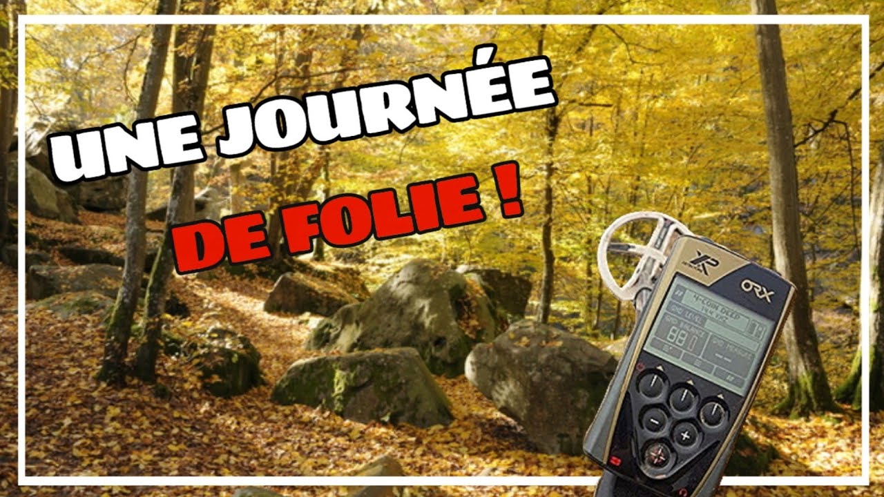 Une détection de métaux 