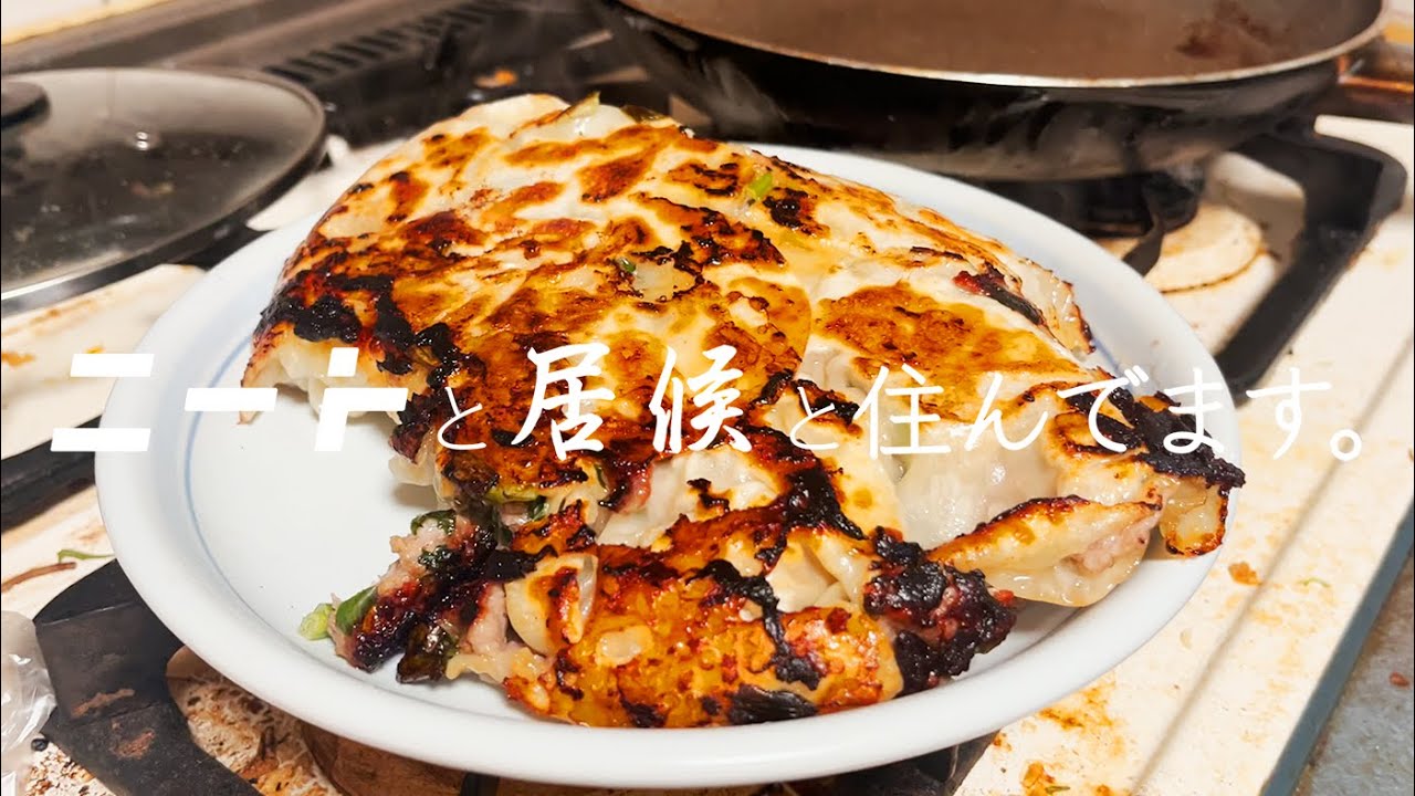 居候が巨大餃子を作った