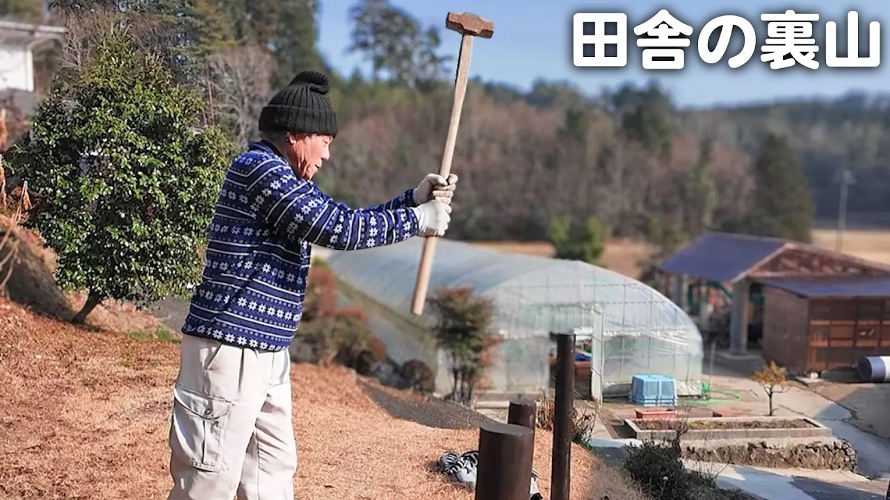 【田舎暮らし】裏山からの絶景が大好きです！【山口県のvlog】