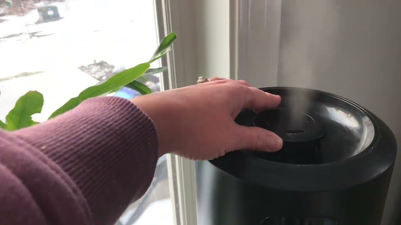 Refresh Your Space with These Humidifiers!