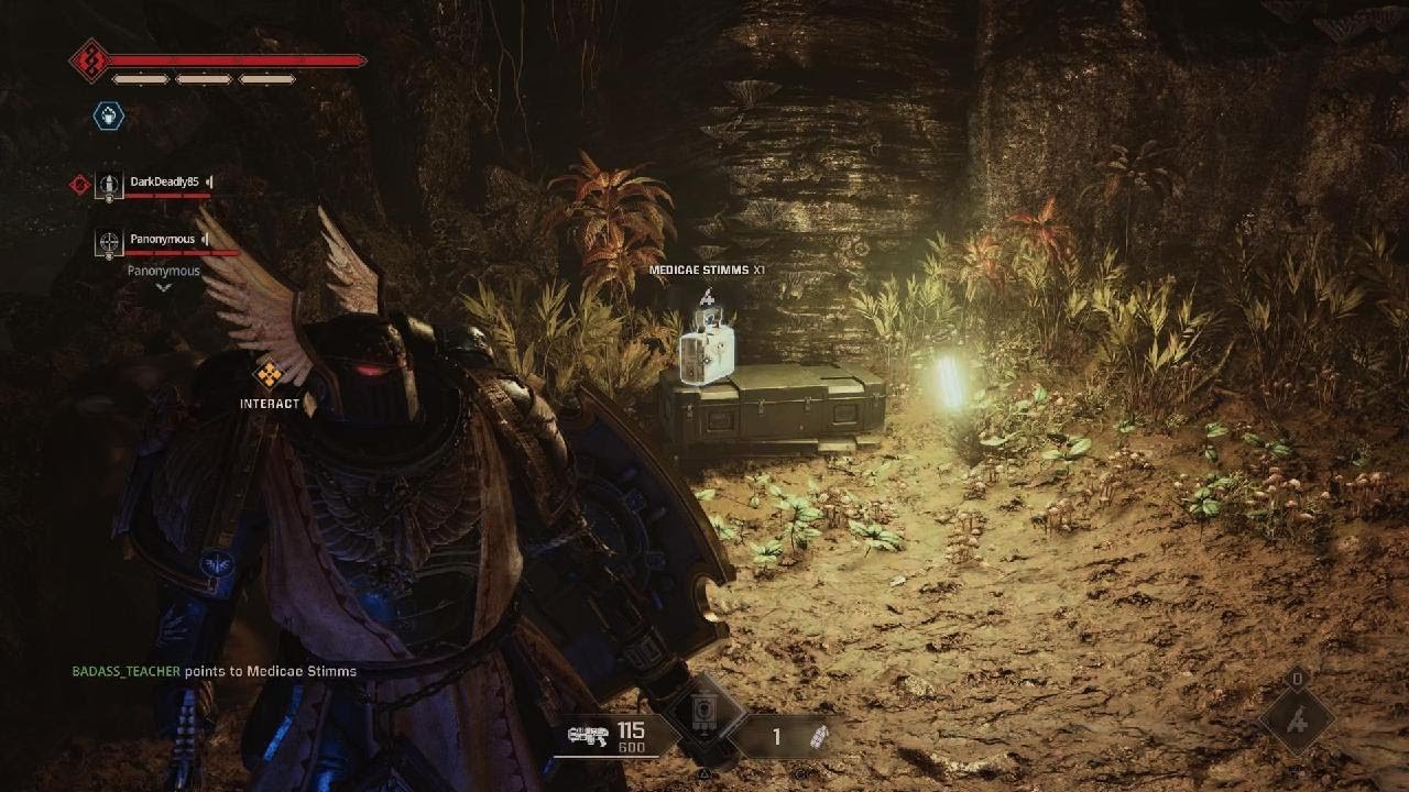 SPACE MARINE 2: Bulwark King
