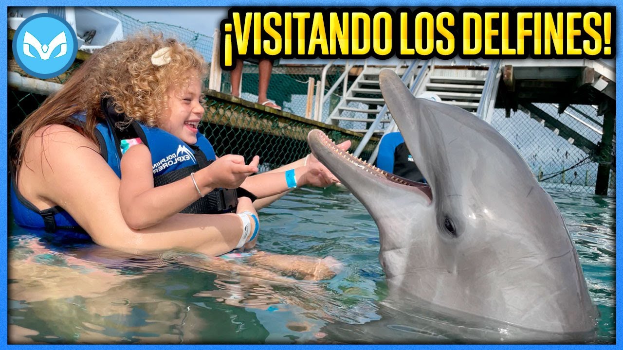 VISITANDO DELFINES POR PRIMERA EN Punta Cana!!!!