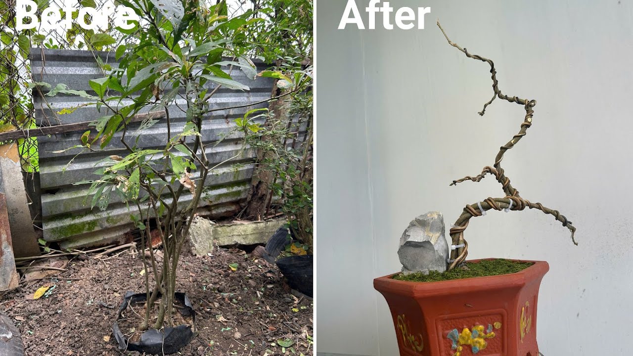 Method of combining many small trees when they are straight and have no branches