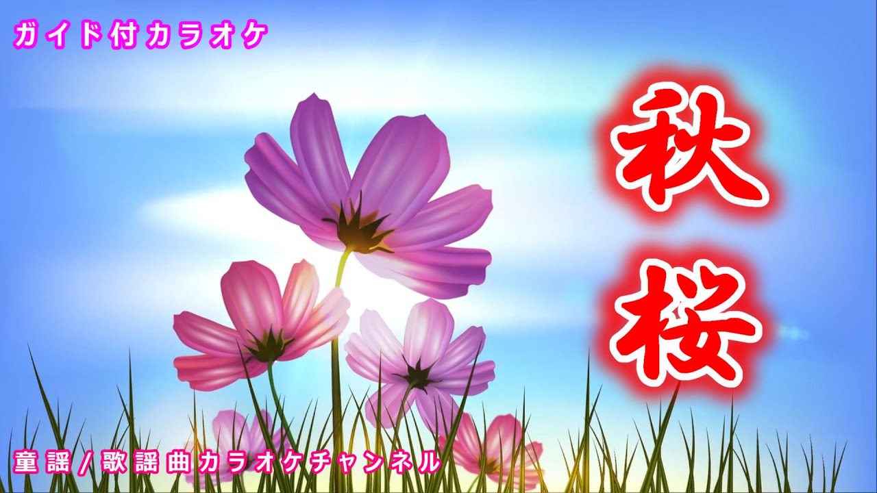 【カラオケ】秋桜　日本のフォークソング　作詞・作曲：さだまさし【リリース：1977年】