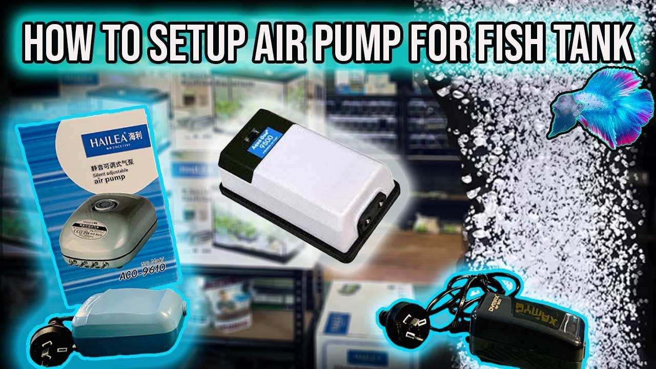 HOW TO SETUP AIR PUMP FOR FISH TANK. ~ HOW TO FIX A NOISEY AQUARIUM AIR PUMP!