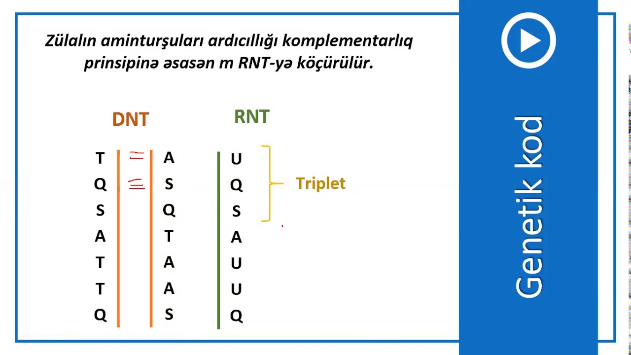 9-cu sinif Biologiya - Genetik kod