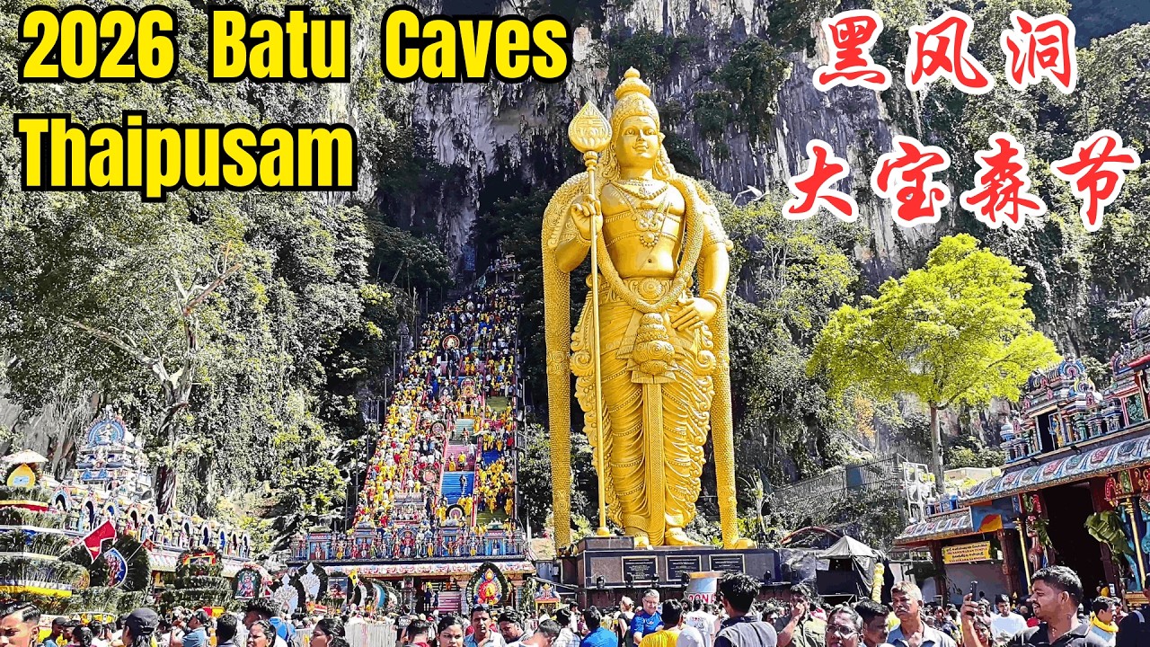 2026 Thaipusam Celebration @ Batu Caves: A Colorful Musical Journey You Can't Miss/ 吉隆坡 黑风洞 大宝森节庆典
