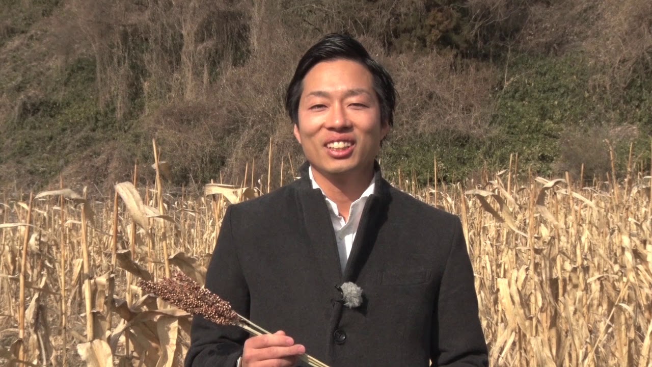 【ながの旬チャンネル】信州産ソルガムを世界に　井上 格さん - 長野市農業公社