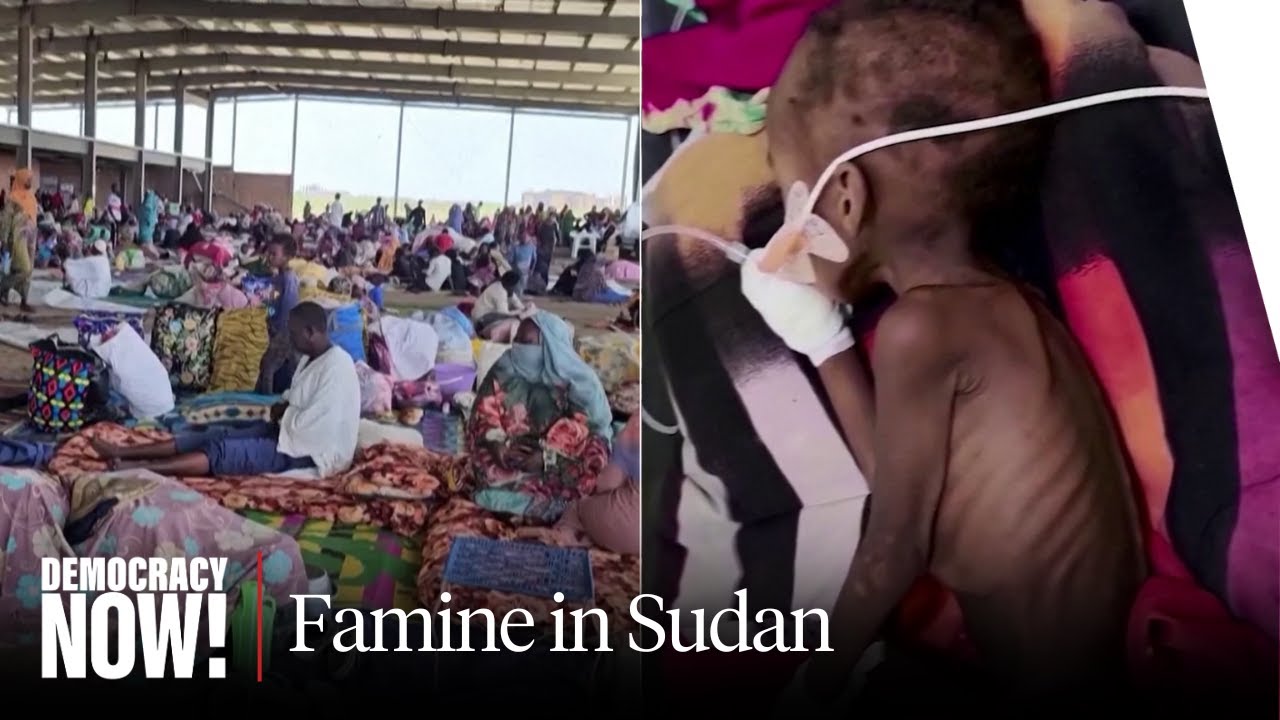 Famine in Sudan: Activist Marine Alneel Says International Community Must Act