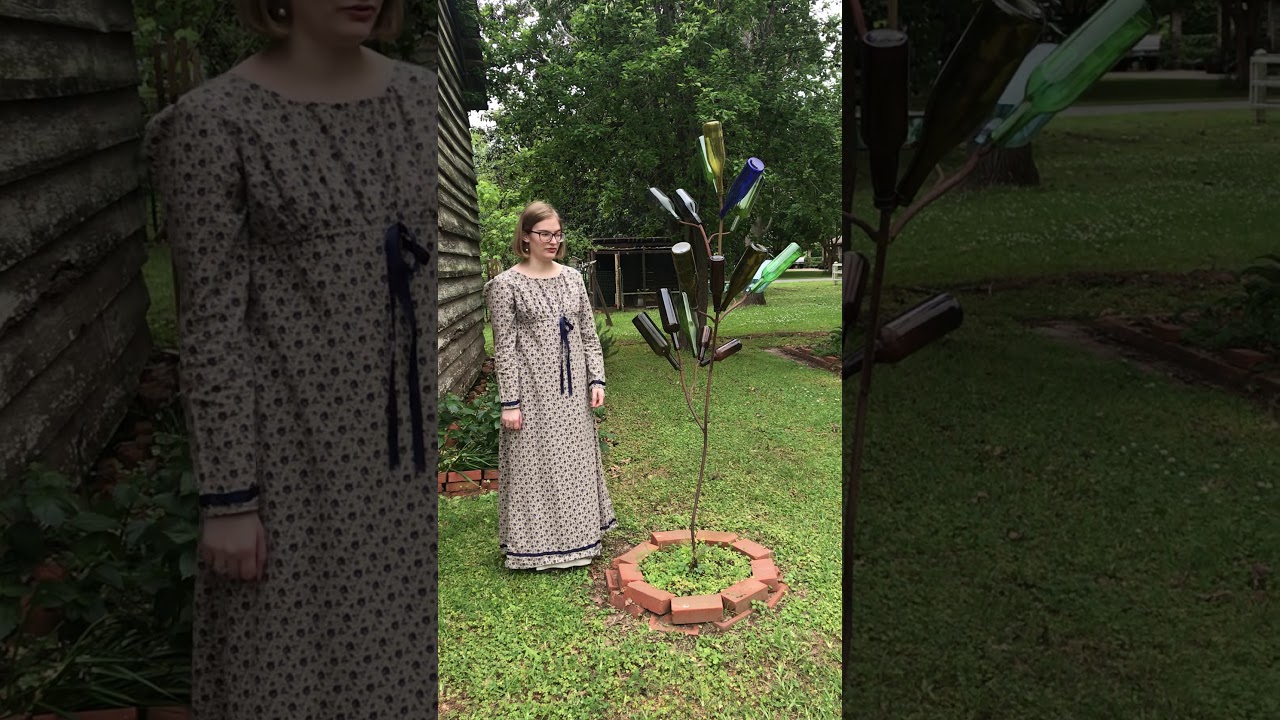 History of the Bottle Tree
