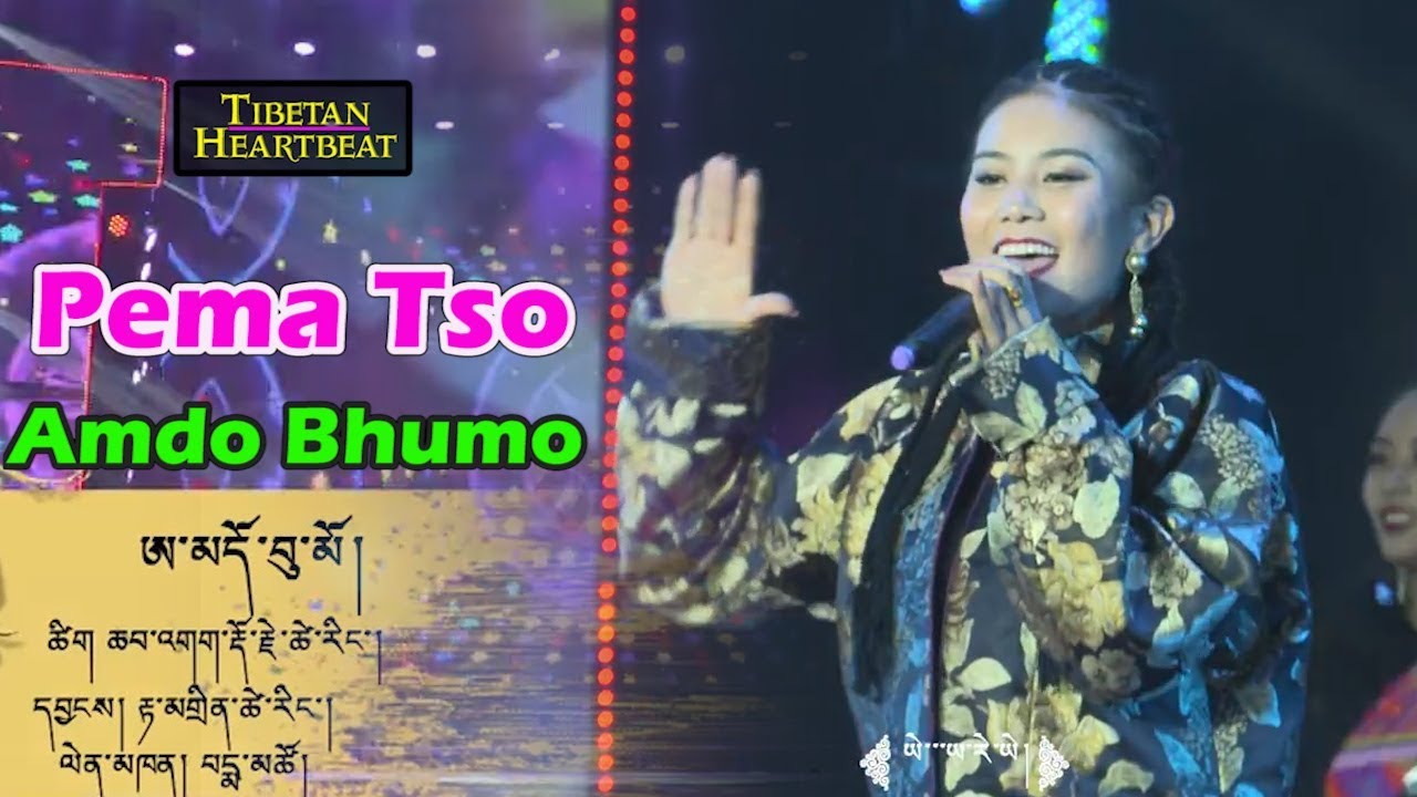 Pema Tso (2018) - Amdo Bhumo (LIVE Performance)