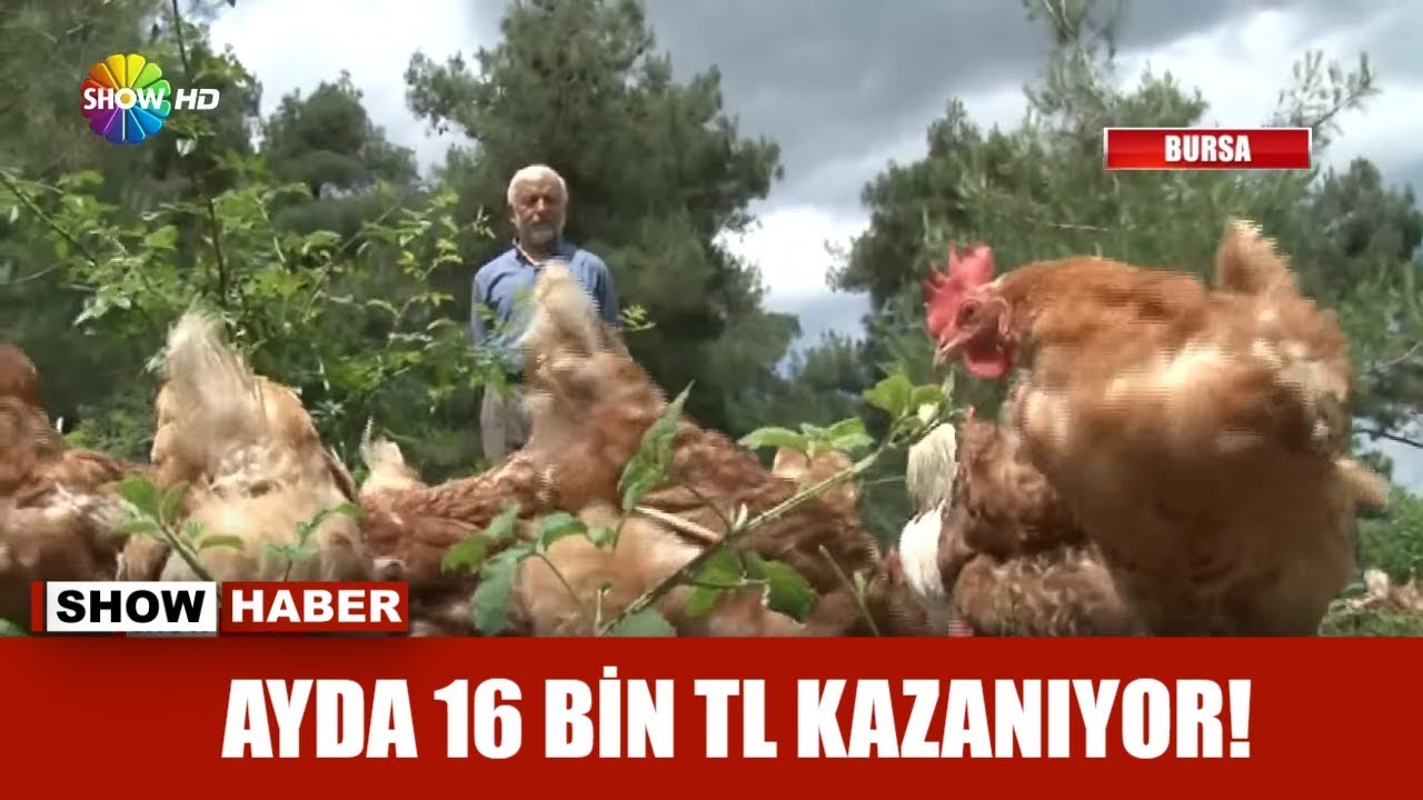 Ayda 16 Bin TL kazanıyor!