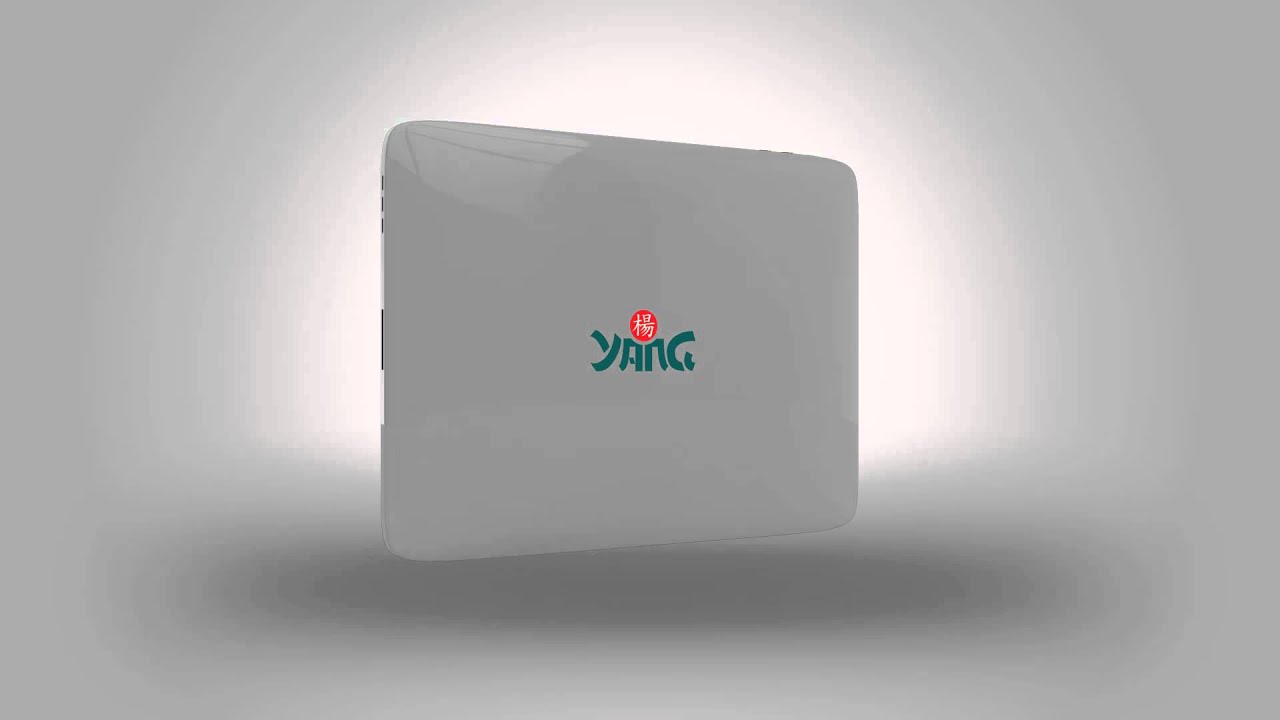 Yang -FA3D.mp4