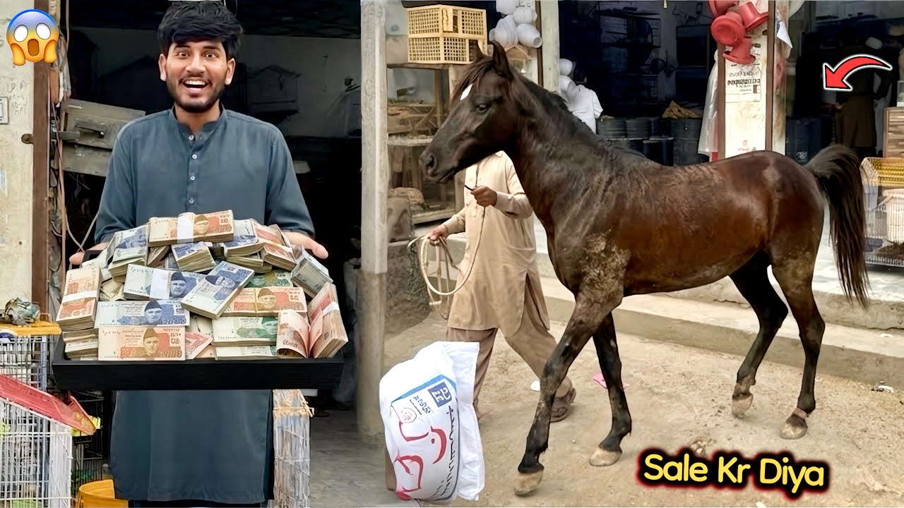 600000 Ka Apna Horse🐎(Tiraz) Pet Market Mian Sale Kr Diya🥹
