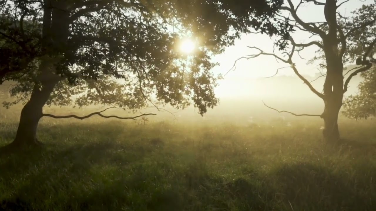 Sunday Morning Worship | I’m Still Faithful
