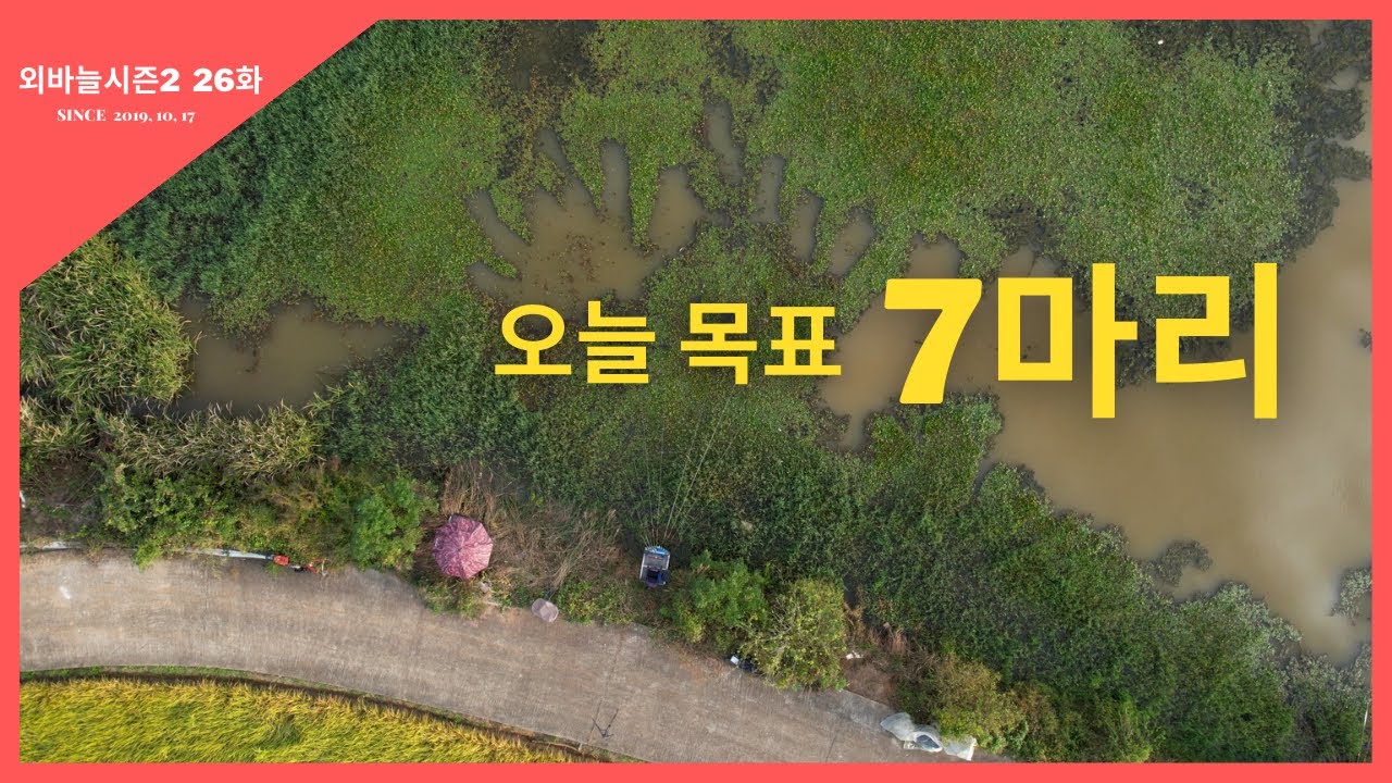 외바늘시즌2 [26화] 오늘 목표 7마리