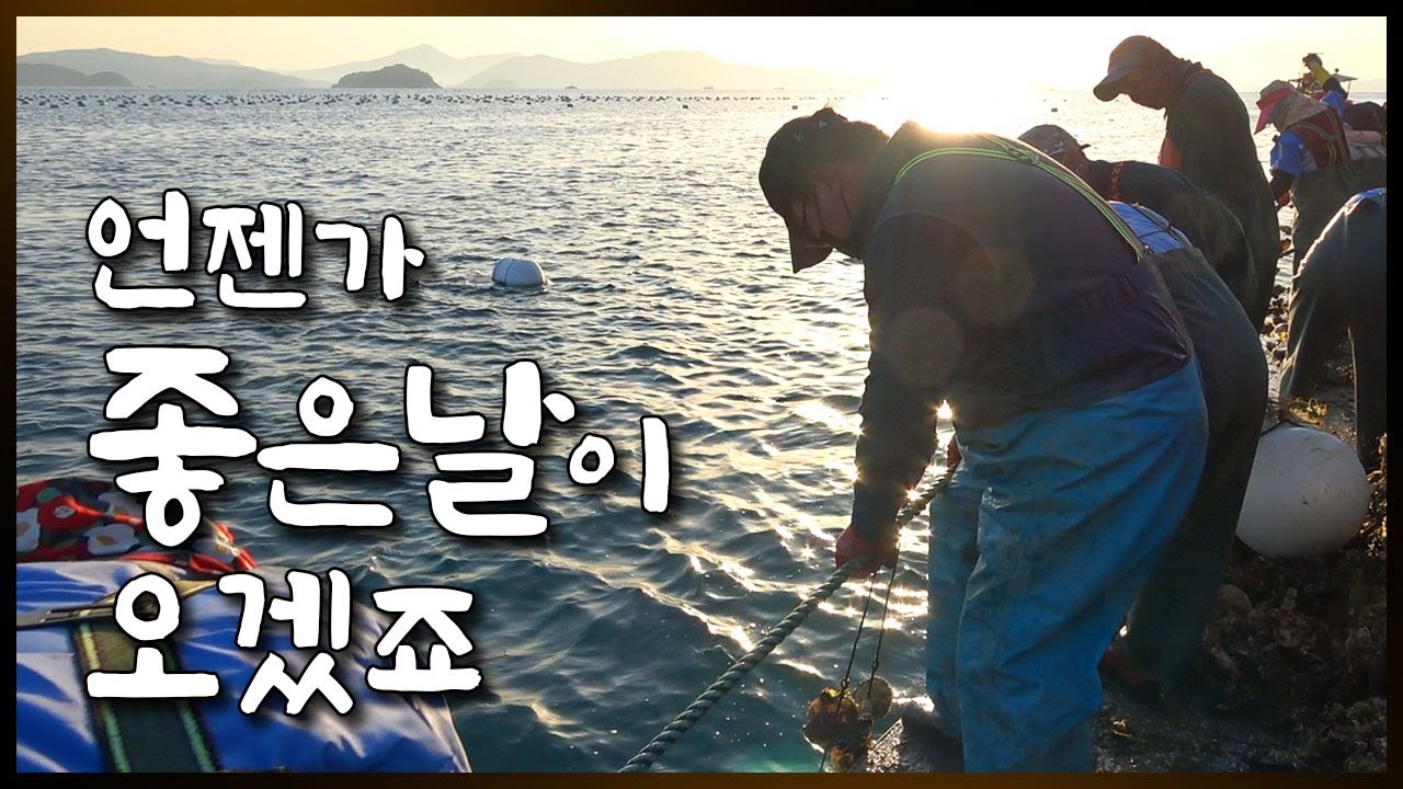 빚이 10억이나 있는 사장님이 굴 양식을 계속 하는 이유