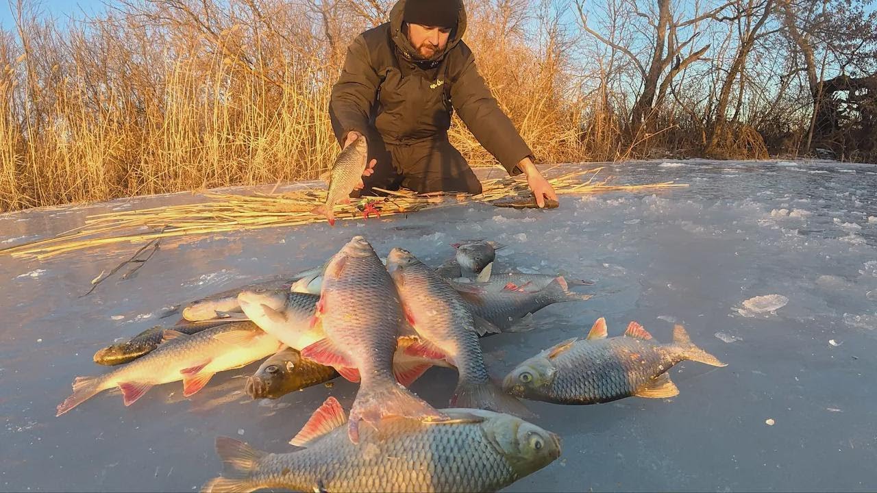 Massive Redfins Swarm This Hole! Ice Fishing Adventure in Astrakhan