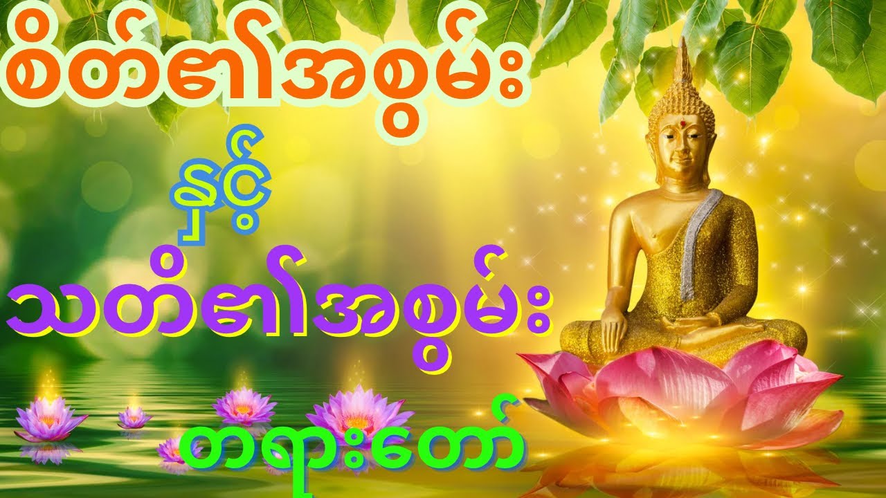 သစ္စာရွှေစည်ဆရာတော်၏ စိတ်၏အစွမ်းနှင့်သတိအစွမ်းတရားတော်နာယူနိူင်ကျပါကုန်လော🙏🙏#သစ္စာရွေစည်ဆရာတော်2024 