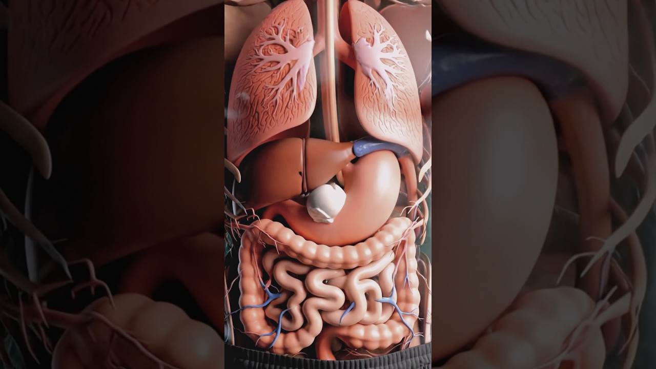 “What Ice Cream Really Does Inside Your Body | 3D Medical Animation”