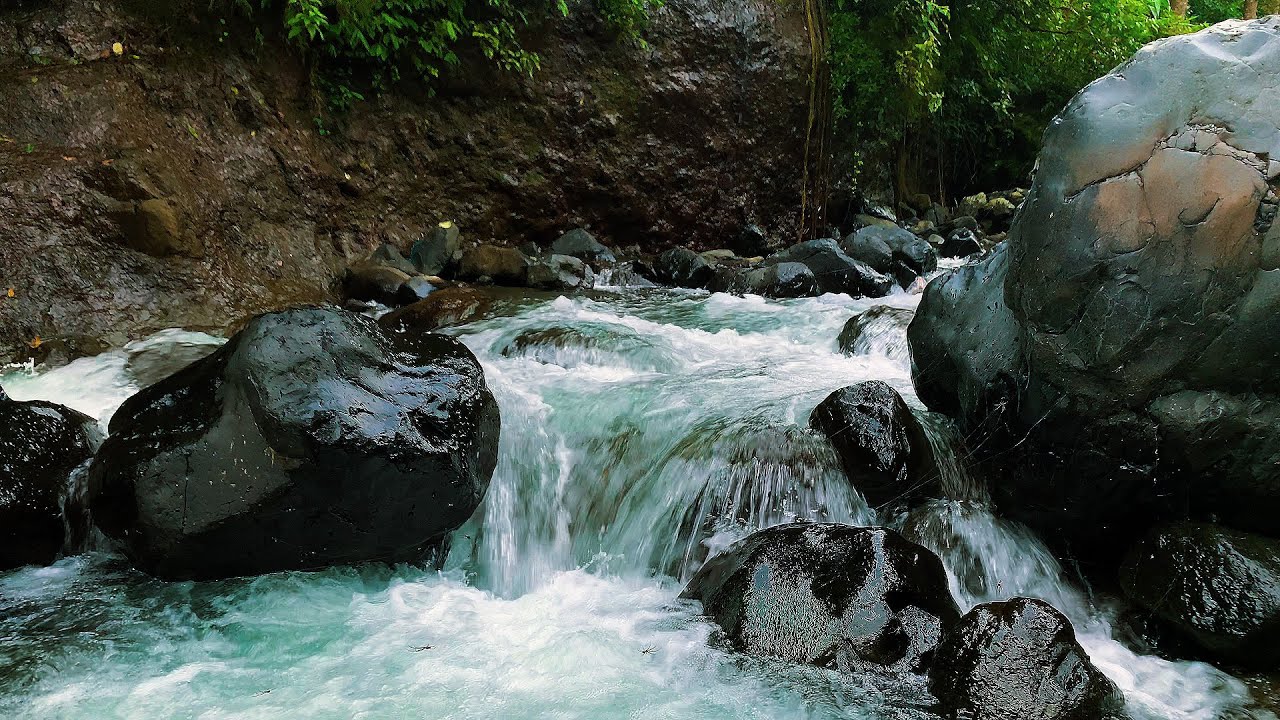 Relaxing Forest Ambience - Quiet River Sounds and Sweet Birdsong in Enchanted Forest for Sleep