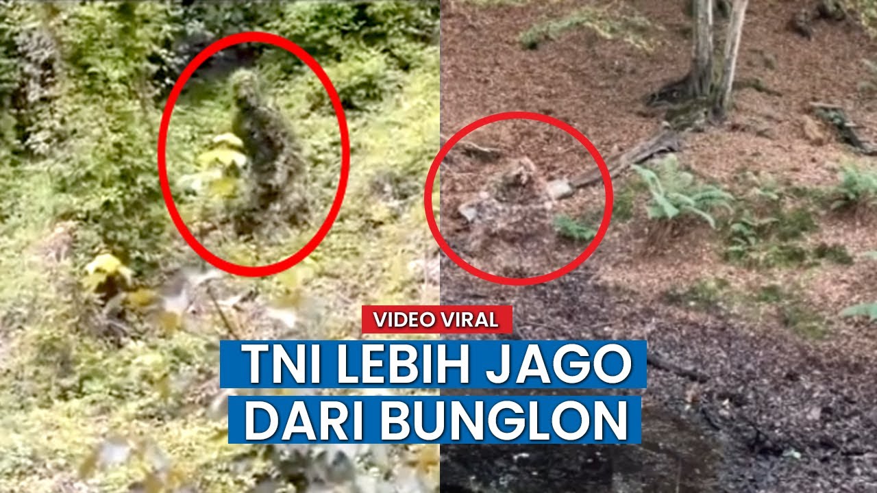Begini Penyamaran TNI, Mulai Jadi Rumput Hingga Lumut