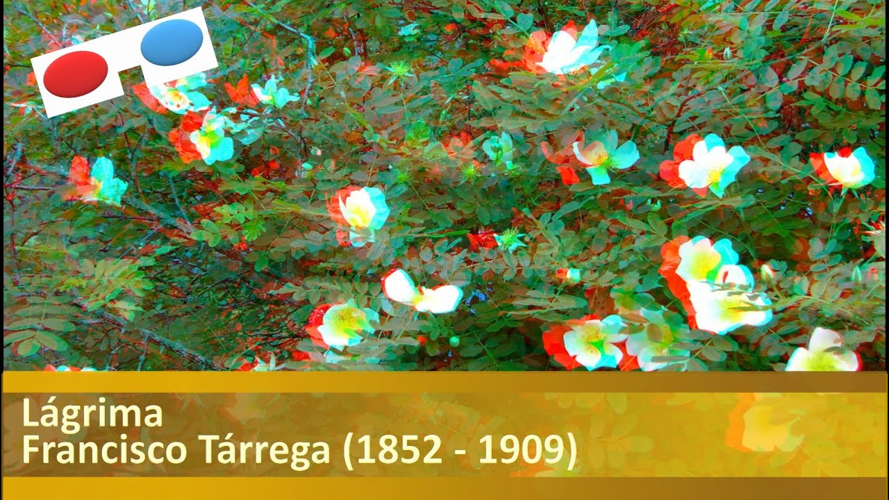 Francisco Tárrega: Lágrima (Preludio) - Anaglyph 3D