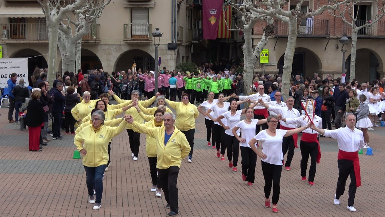 Concurs de colles sardanistes. Balaguer, Cobla Maravella. 2024