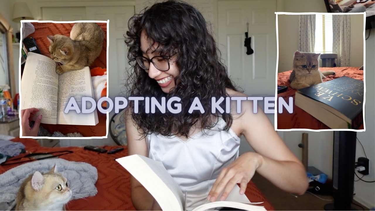 I ADOPTED A KITTEN!