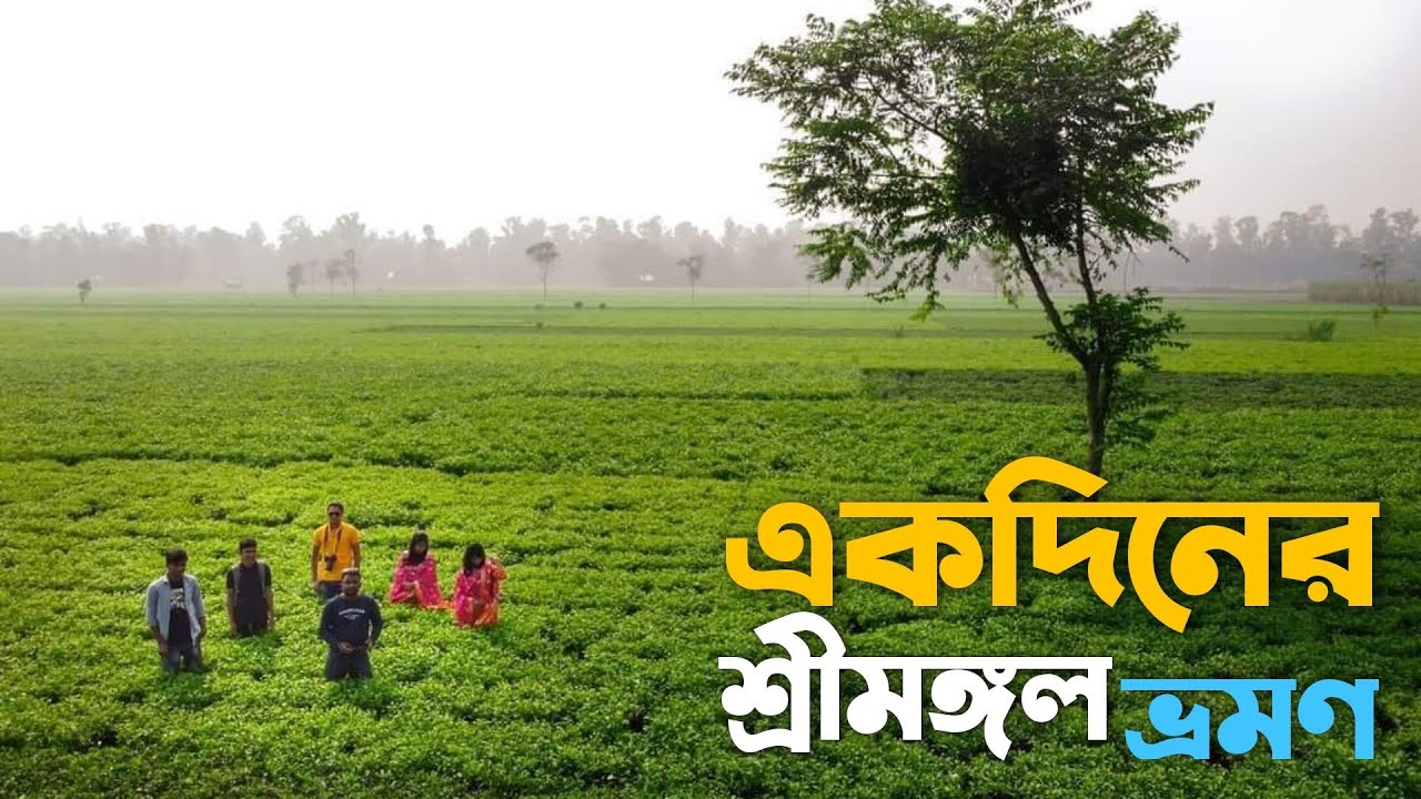 চায়ের শহর 