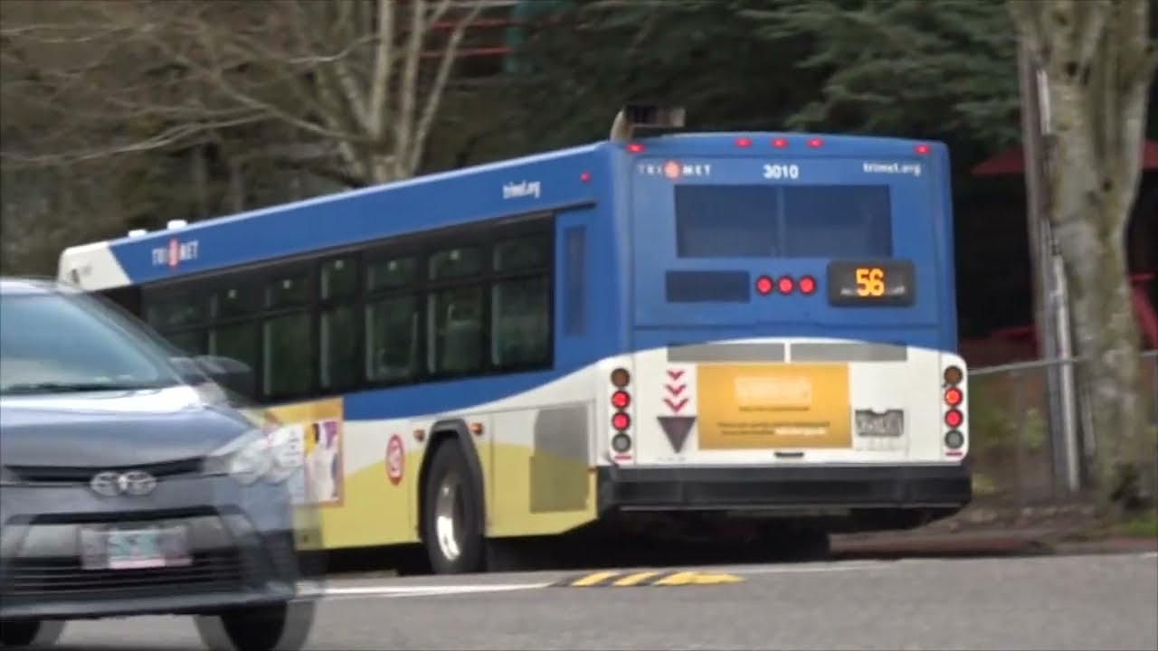 Buses and Trains in Portland 8