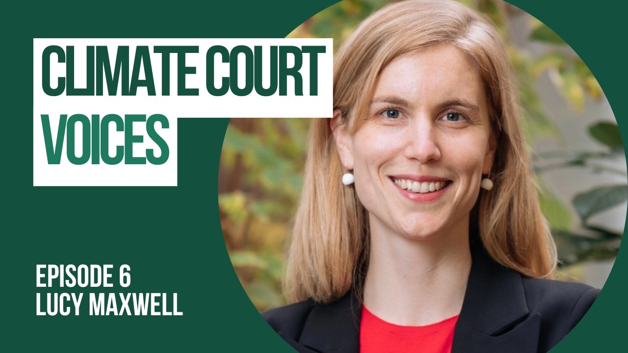 The accountability decade: tracing the evolution of climate litigation