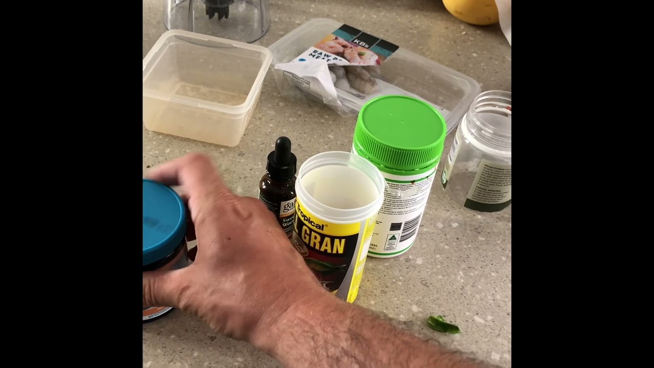 DIY discus food. No beef heart!