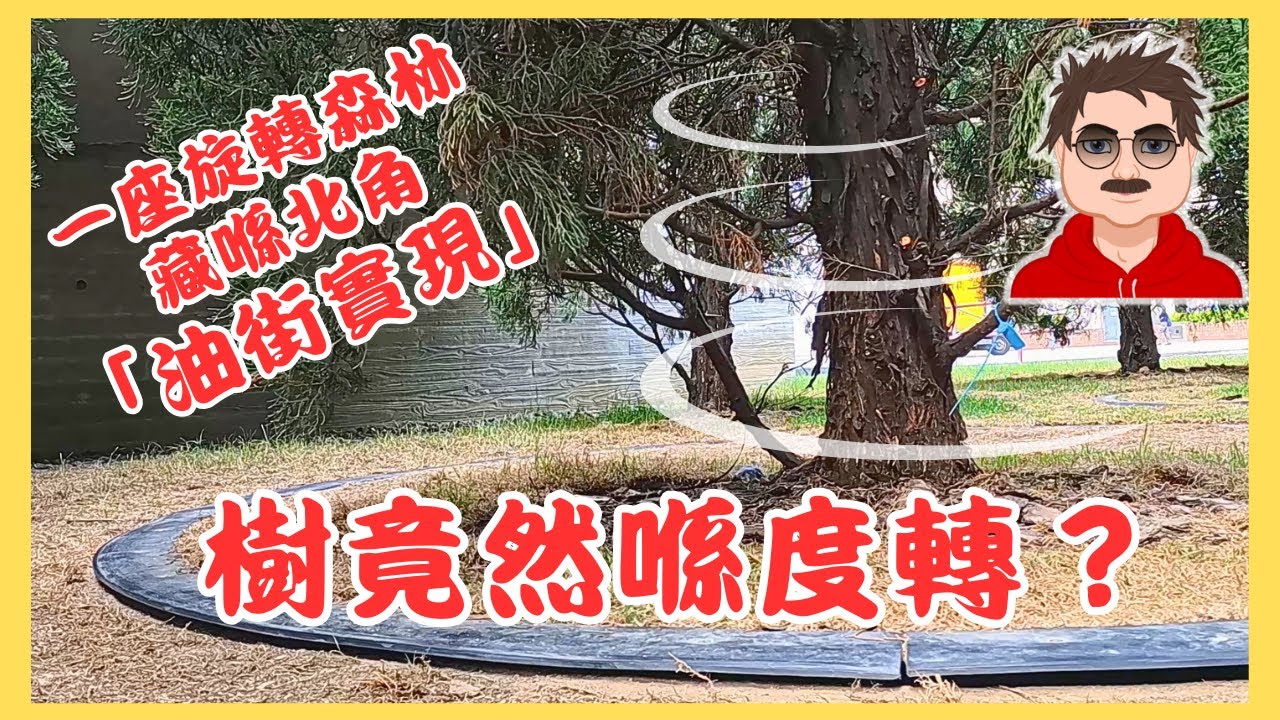 樹都會轉？一座旋轉森林，喺 #北角 #油街實現 #炮台山 #賞森悅木 #旋轉樹 #香港藝術裝置 #香港免費景點 #香港文青景點 #城市散步 #香港旅遊 #北角好去處 #紅磚屋 #油街玻璃屋 #油街花園