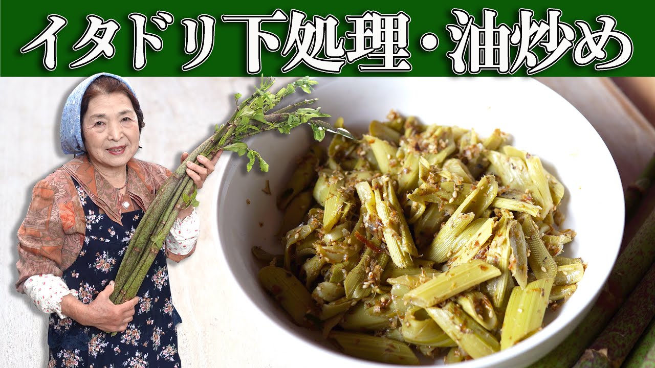 【保存版】イタドリの下処理と絶品イタドリレシピ（食べ方）油炒め【知らなきゃ損】