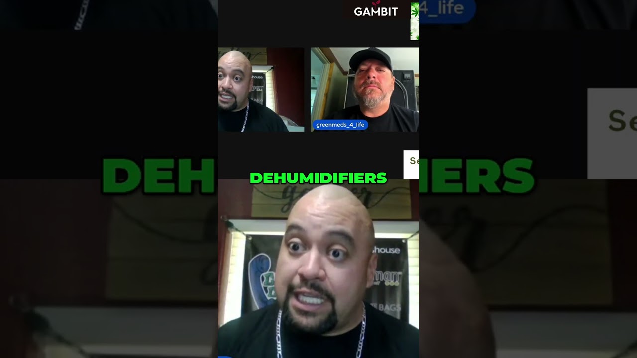 Avoid Bud Rot: Protect Your Plants From Mold! #shorts