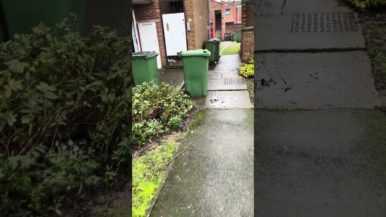 Clips from today 