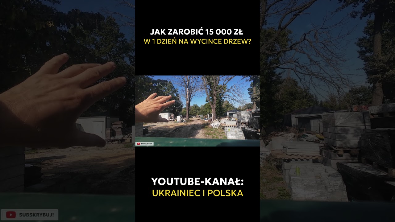 Jak ZAROBIĆ 15 000 zł w JEDEN dzień na wycince drzew?