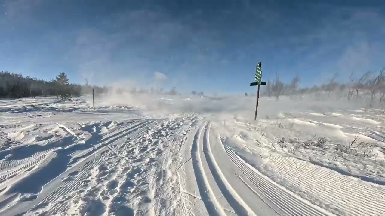 Fat Viking Race 2025 Geilo, Norway