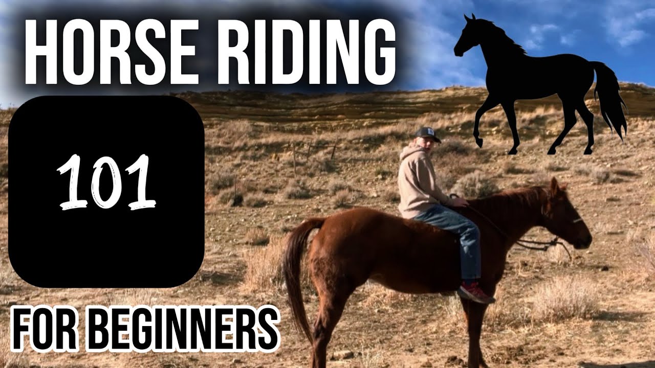 How to Ride a Horse- For Beginners in 2025