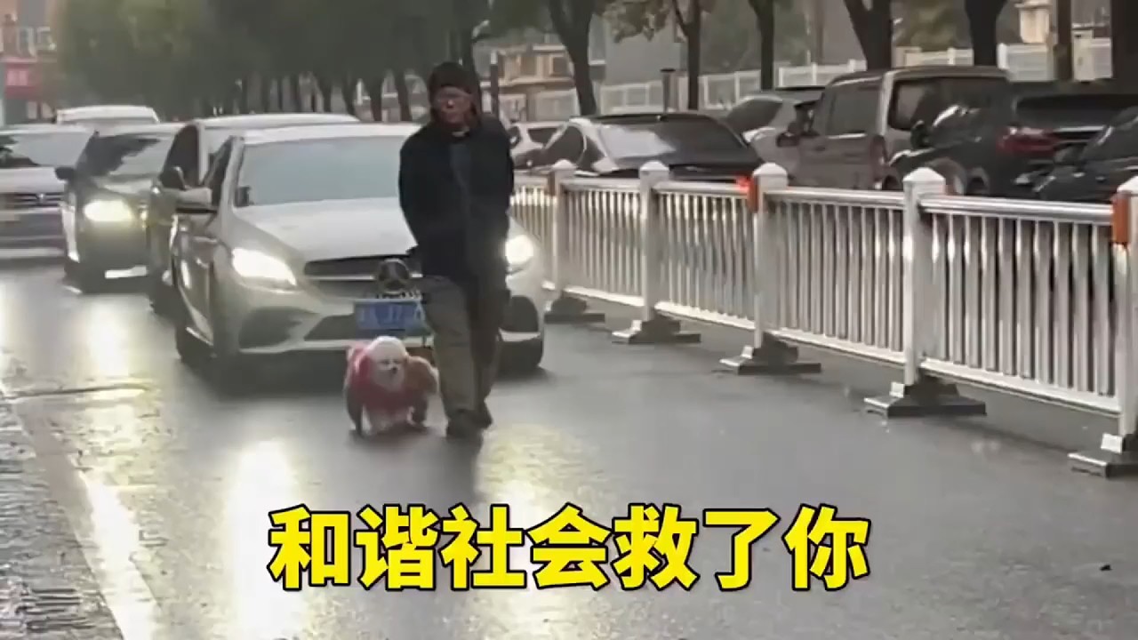 沒想到現實真有這麼離譜的人！讓你見證生物多樣性！絲毫不覺得自己有錯