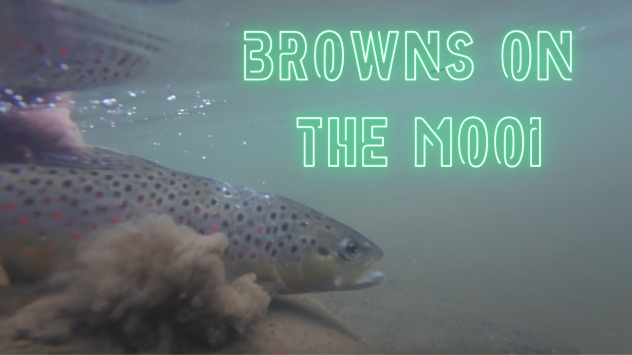 Browns on the mooi - KZN Kamberg
