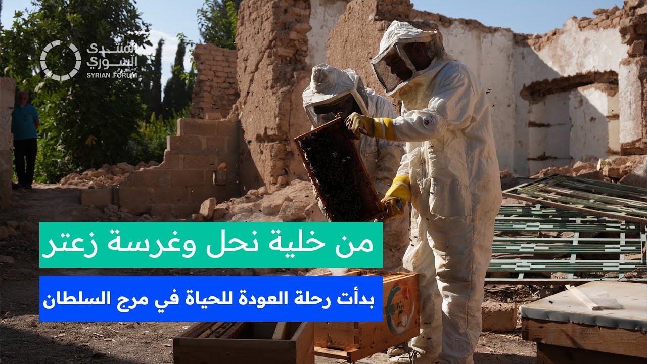 مشروع النحل والزعتر البري في مرج السلطان.. غير حياة 25 عائلة!