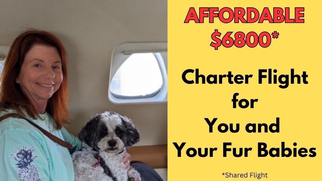 Affordable Charter Flights for You and Your Pets to Move to Panama