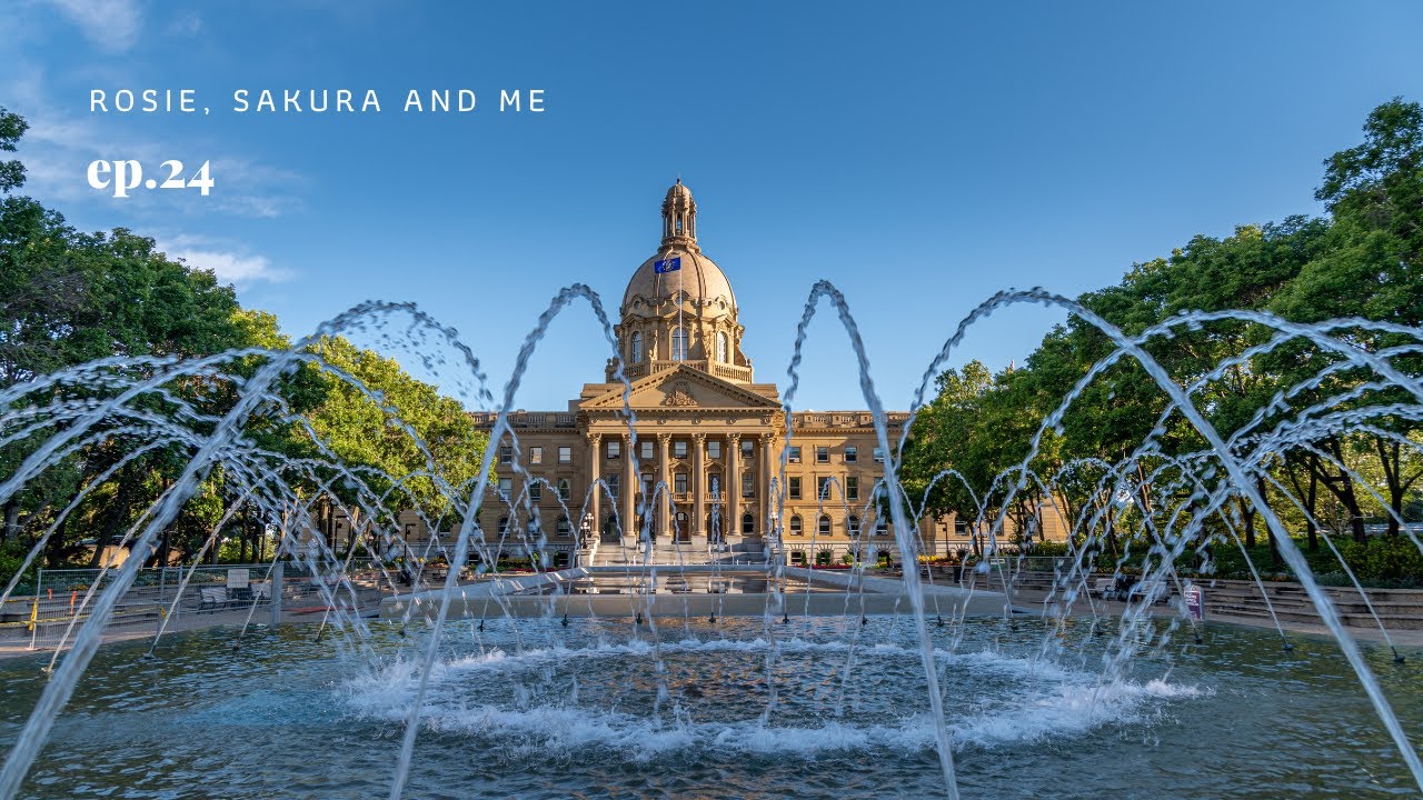 Will I Lose My Canadian Citizenship? | A Life in Edmonton, Alberta | Slow Living with Dogs