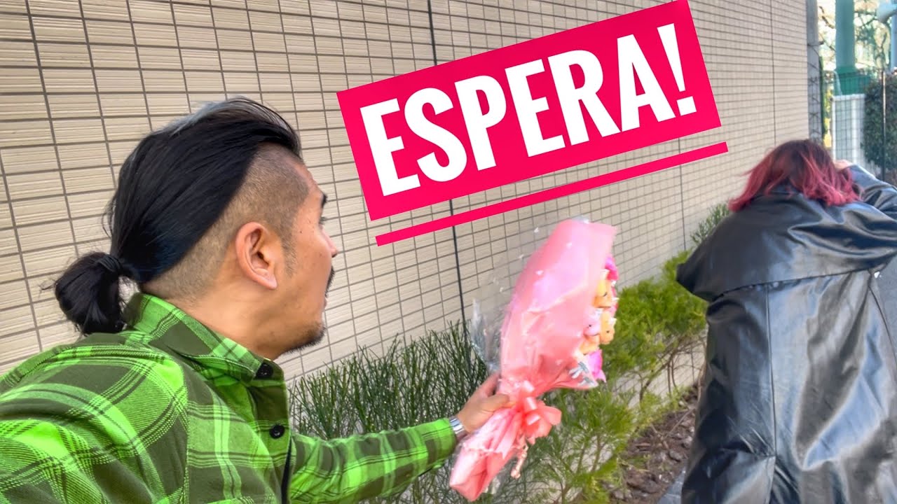🙎🏻‍♀️ ASI ESCAPAN de RELACIONES las Japonesas