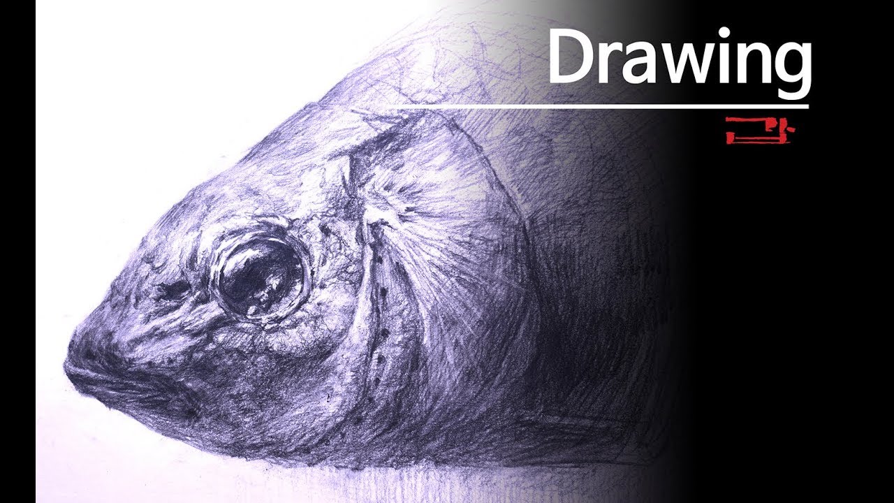 Breath - carp / a drawing of the carp ended its life - Fish pencil drawing./잉어 연필 소묘