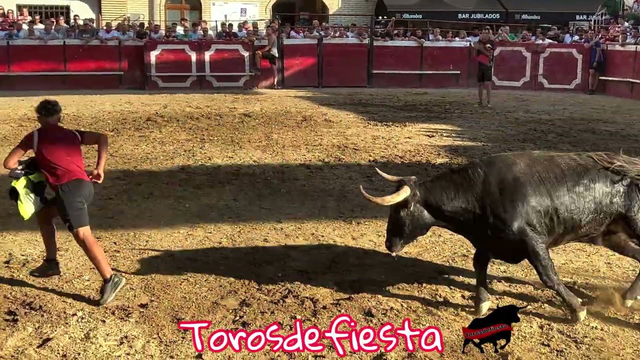 Cadreita tarde con ganadería Ustárroz 