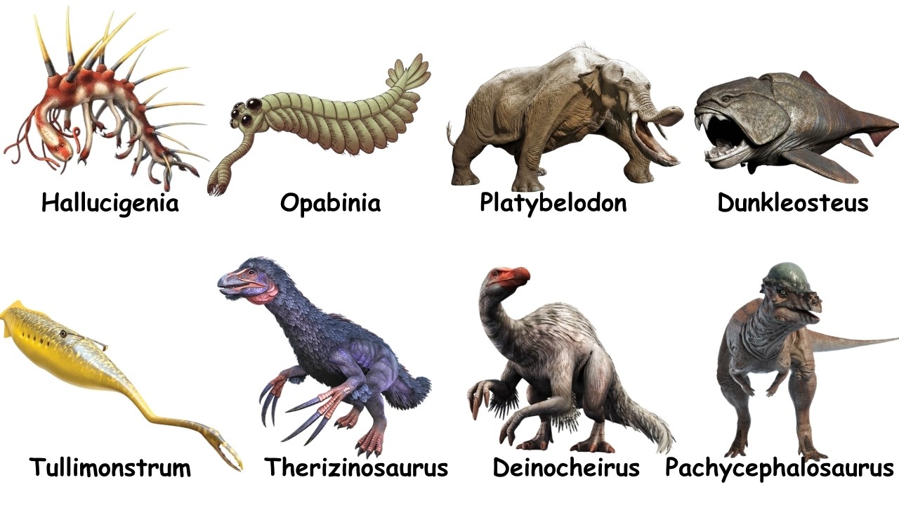 Every BIZARRE Extinct Creature Explained